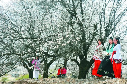 NBA 高清直播封面